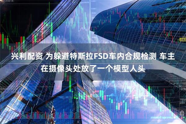 兴利配资 为躲避特斯拉FSD车内合规检测 车主在摄像头处放了一个模型人头