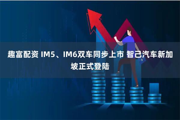 趣富配资 IM5、IM6双车同步上市 智己汽车新加坡正式登陆